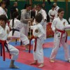 zalec_010.jpg