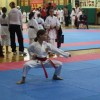zalec_028.jpg