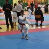 zalec_039.jpg