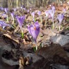 2012_03_04_16_18_16.jpg