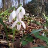 2012_03_04_16_48_22.jpg