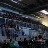 dobrodelni_koncert_03.jpg