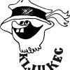 skljukeclogitip.jpg
