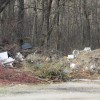 img_2393_000.jpg