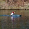 veslanje_medvode___tacen_25_3_2012_025.jpg