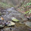 resevna_09_10_1_000.jpg