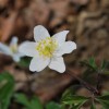 dsc_0227_000.jpg