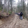 resevna_13_14_1_000.jpg