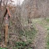 resevna_50_50_1_000.jpg