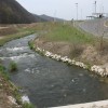 img_5932_000.jpg