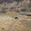 dvor_012.jpg