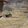 dvor_013.jpg