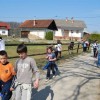 dvor_003.jpg