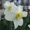 dscf9621_000.jpg