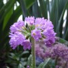 dscf9631_000.jpg