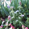 dscf9632_000.jpg