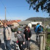 vinica_000.jpg
