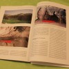 img_6070_000.jpg