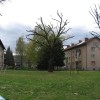 krosnja_014.jpg