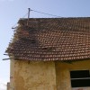 klevev__001.jpg