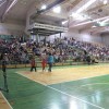 img_6953__copy_.jpg
