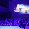 100_0260.jpg