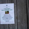 krtina_024.jpg