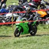 slika_908.jpg