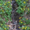 velikono__ni_ponedeljek2012_080.jpg