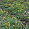 velikono__ni_ponedeljek2012_081.jpg