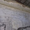 gozdna_u__na_pot_014.jpg