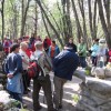 gozdna_u__na_pot_039.jpg