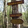 gozdna_u__na_pot_029.jpg