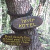 gozdna_u__na_pot_025.jpg