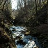 img_4880.jpg