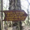 gozdna_u__na_pot_026.jpg