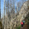 img_4889.jpg