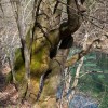 img_4888.jpg