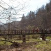 img_4868.jpg