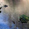 img_4877.jpg