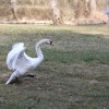 img_7963_ajpg.jpg