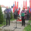 dragan_017.jpg