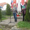 dragan_019.jpg