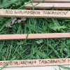 100_2721.jpg