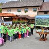obcinska_lipa_201201.jpg