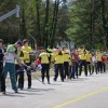 spomlad_2012_164.jpg