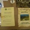 zemlja_009.jpg