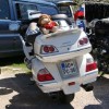 dsc03327_000.jpg