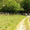 sejemska_017.jpg
