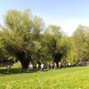 sejemska_005.jpg